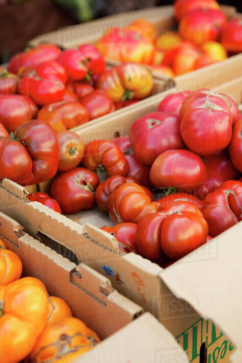 Crates of varieties of fresh tomatoes Stock Photo Dissolve
