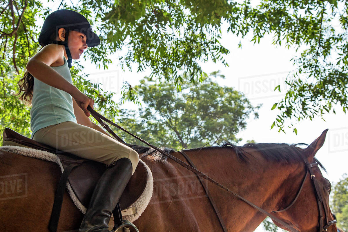 Low angle view of equestrian girl riding horse Stock Photo Dissolve