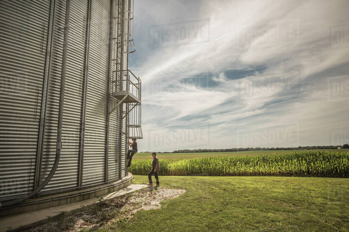 Caucasian farmer and son climbing grain silo Stock Photo Dissolve