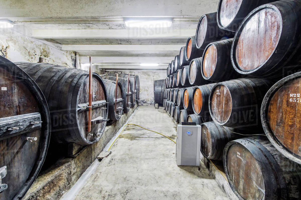 Barrels of wine aging in wine cellar Stock Photo Dissolve