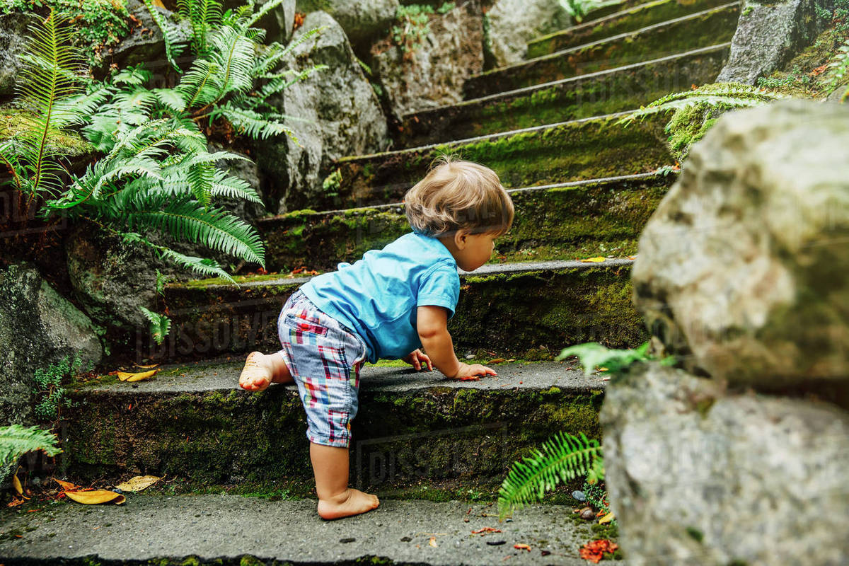 Mixed race baby boy climbing staircase Stock Photo Dissolve