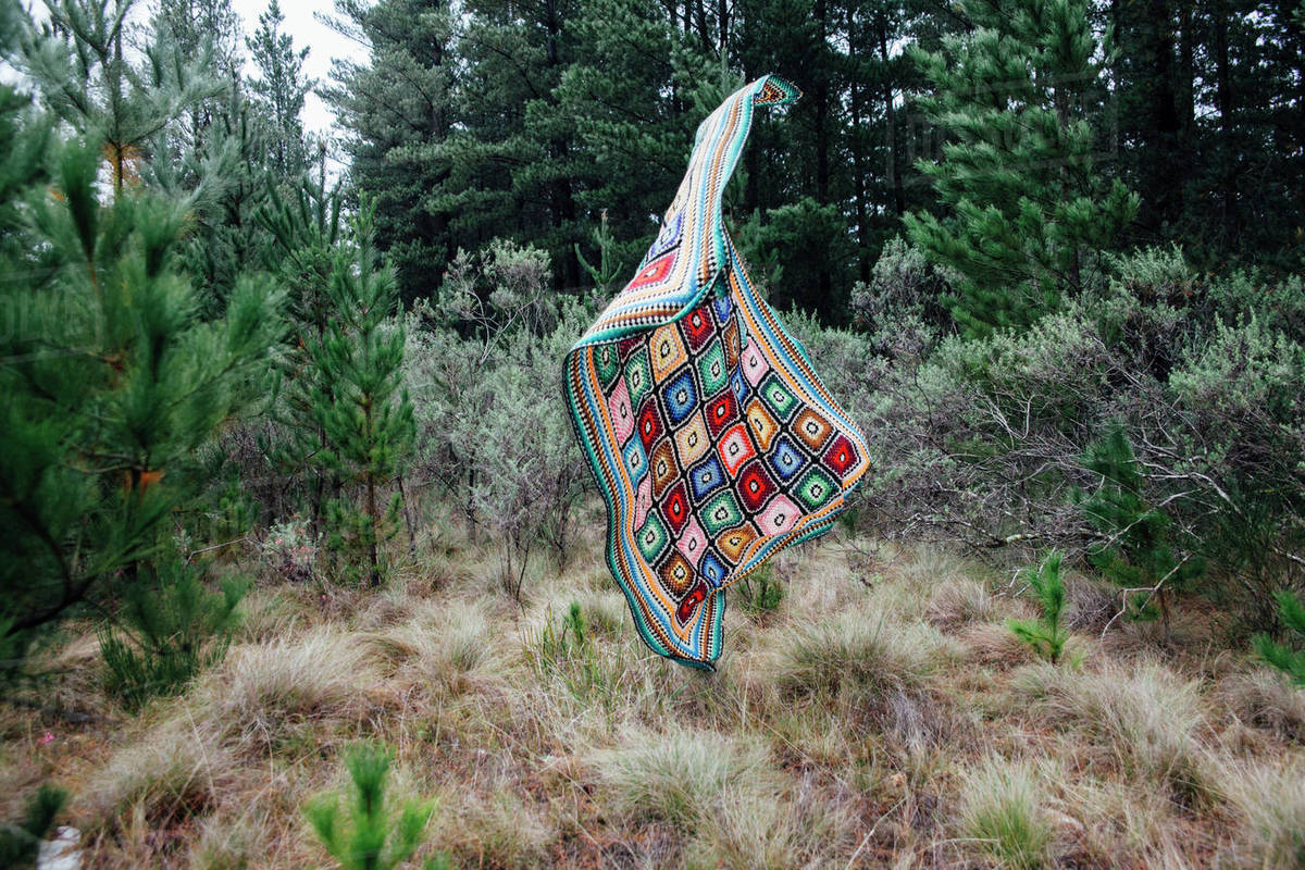 Quilt falling in forest Stock Photo Dissolve