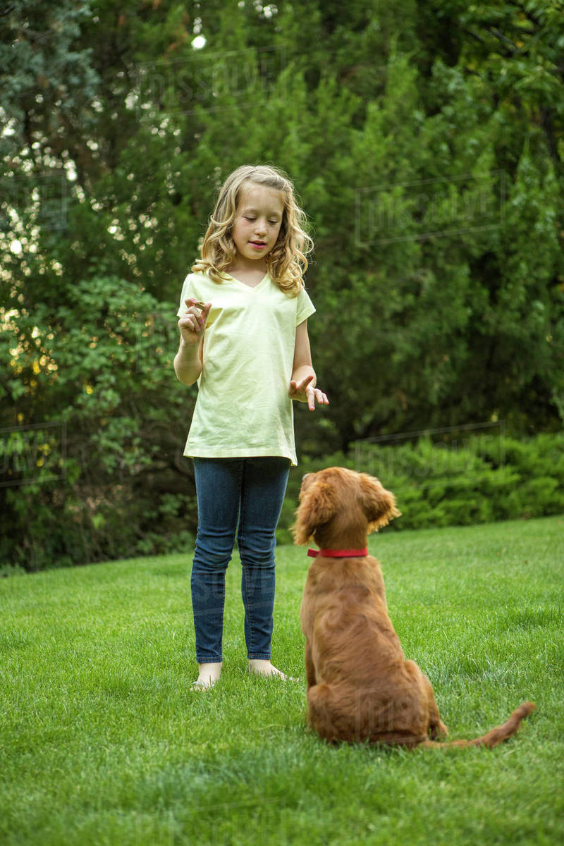Caucasian girl training dog in grass Stock Photo Dissolve