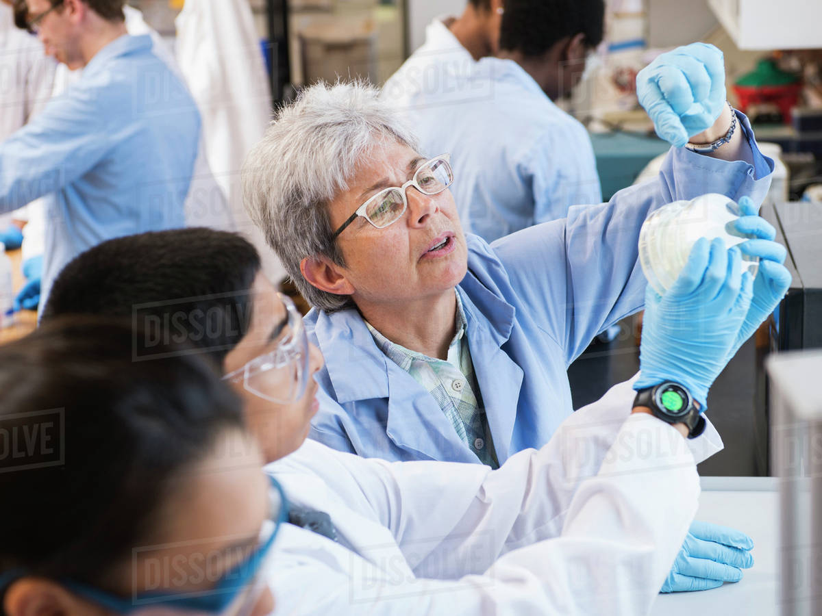 Teacher and students working in science lab Stock Photo Dissolve