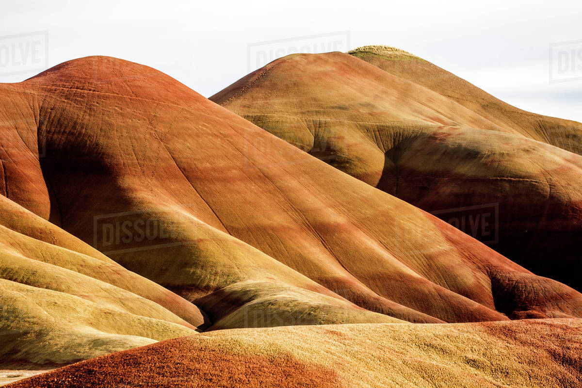 Desert Hills In Remote Landscape Painted Hills Oregon United