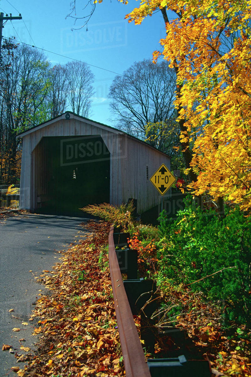 Covered bridge in a forest, Green Sergeant's Covered Bridge, Stockton