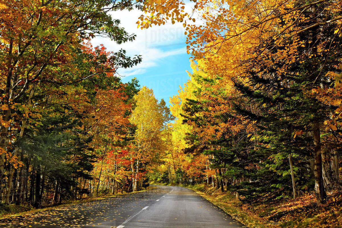 USA, Maine, Mt Desert Island, Acadia National Park, Autumn scenic drive