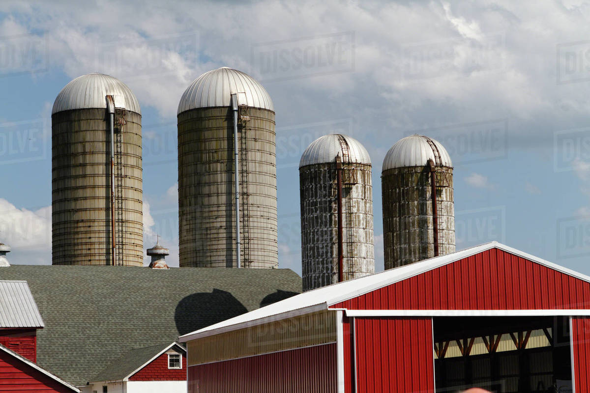 USA, New Jersey, Hunterdon County, Grain storage towers at farm Stock