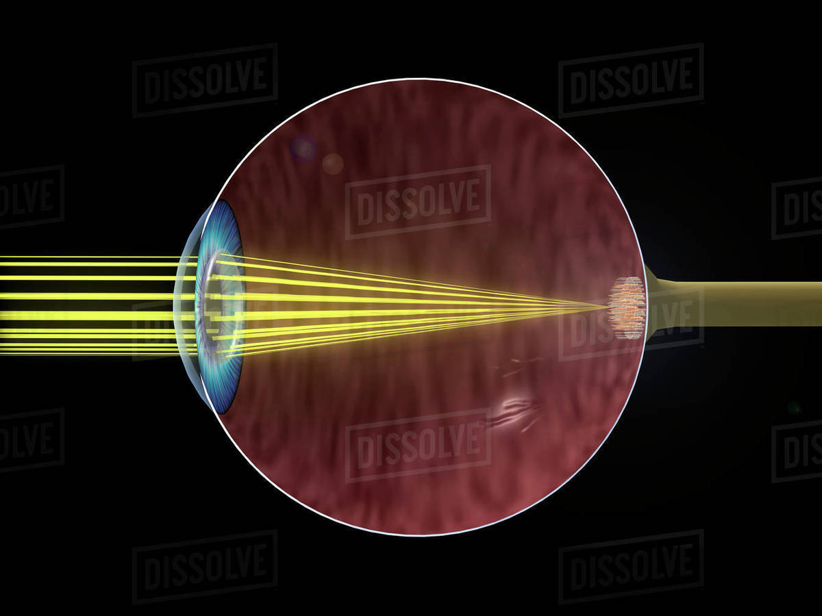 Closeup of the human eye showing the vision system Stock Photo