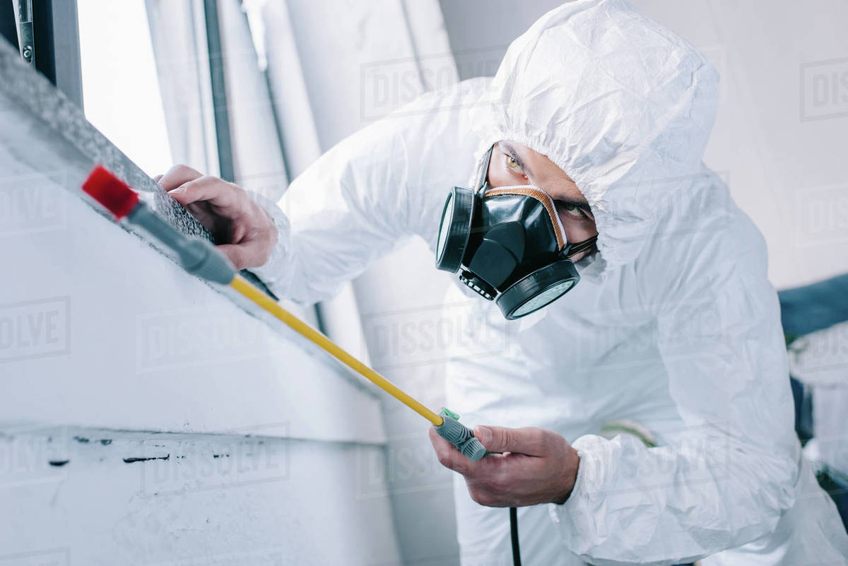 pest control worker in respirator spraying pesticides under windowsill