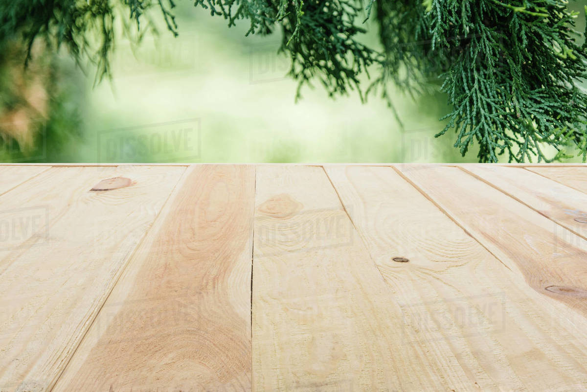 Template Of Beige Wooden Floor Made Of Planks On Blurred Green