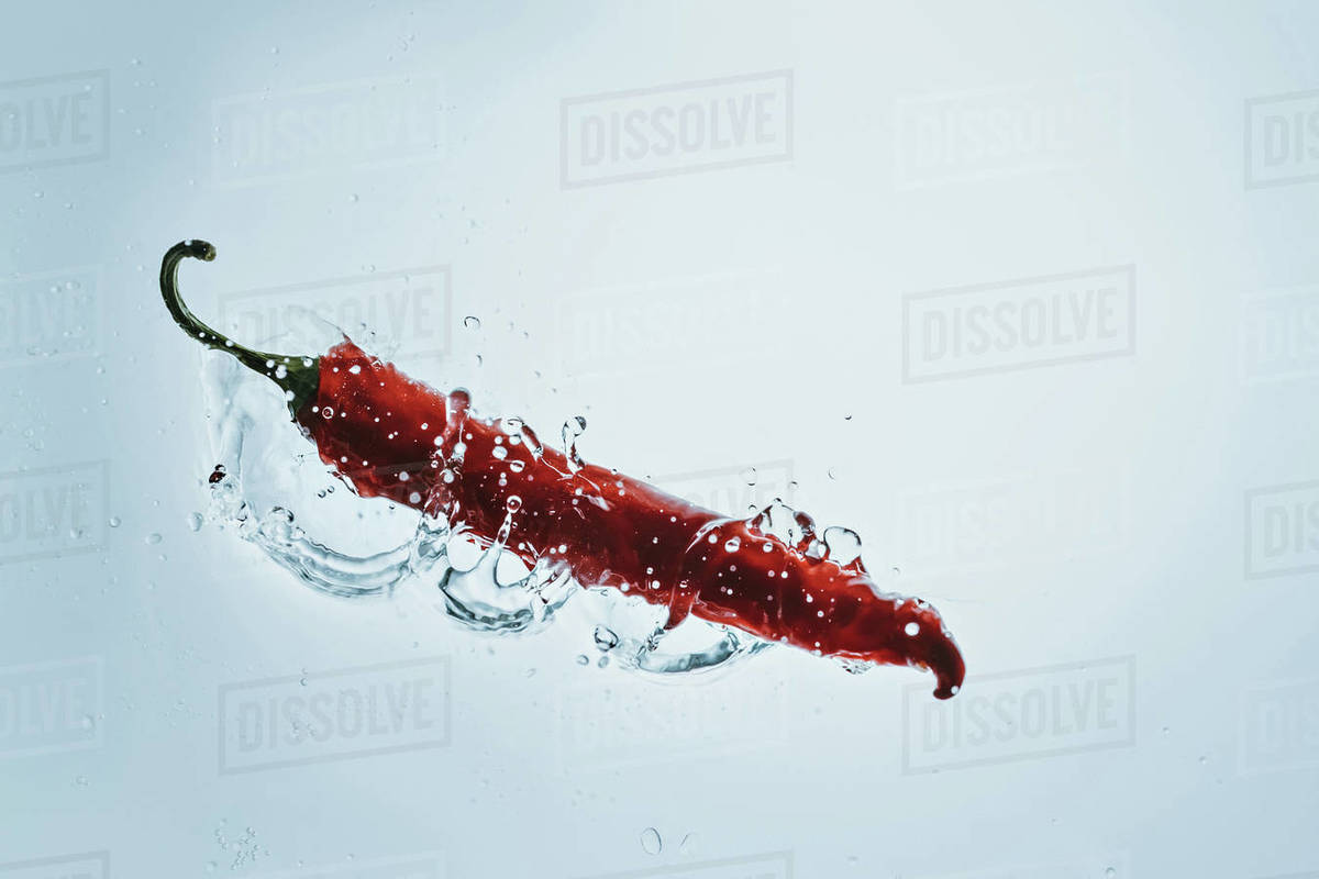Fresh chili pepper floating in water with splash - Stock Photo - Dissolve