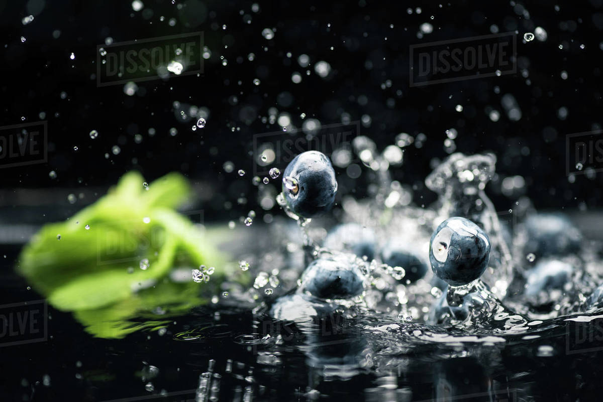 Fresh ripe blueberries dropping in water with splash isolated on black