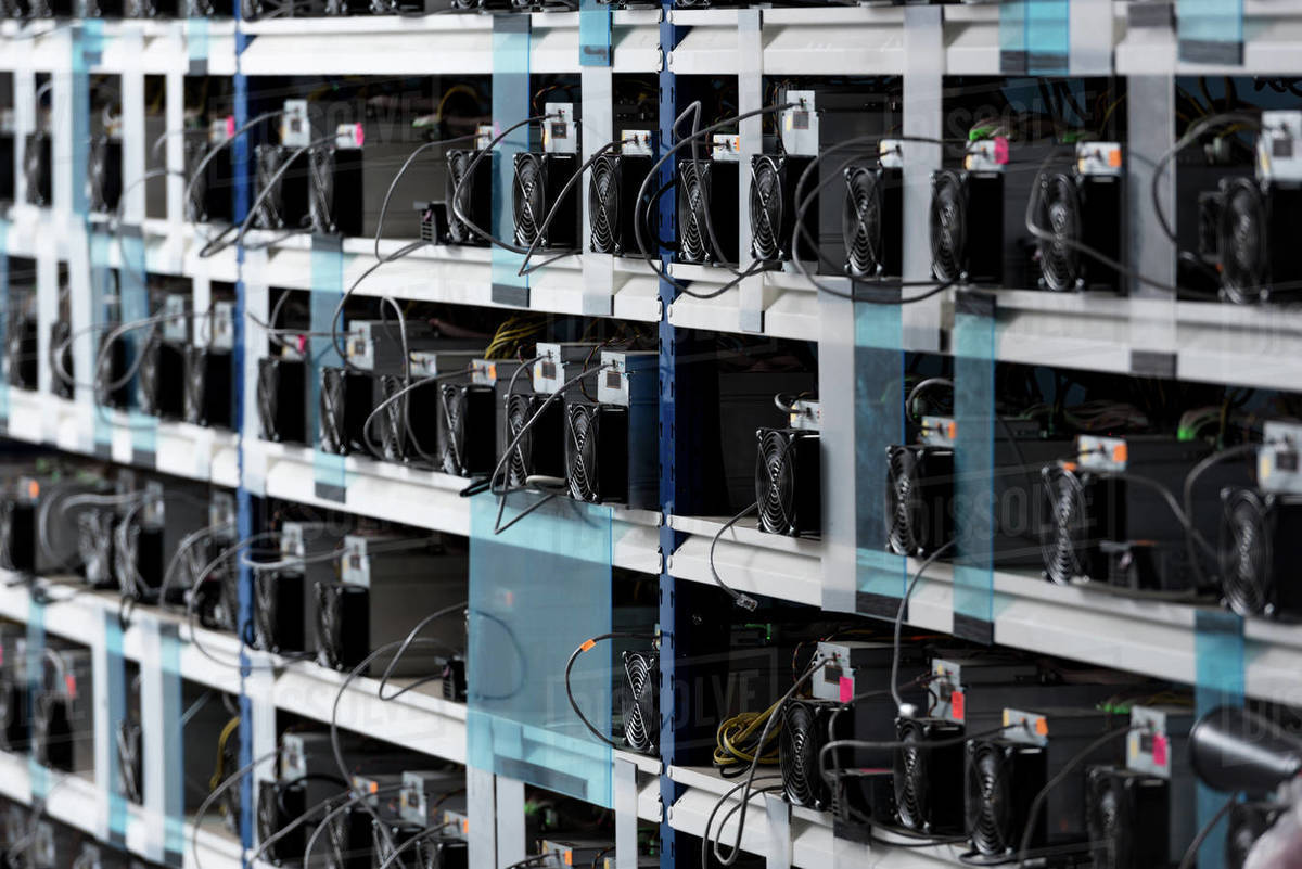Shelves with equipment for bitcoin mining farm - Royalty-free Stock Photo |  Dissolve