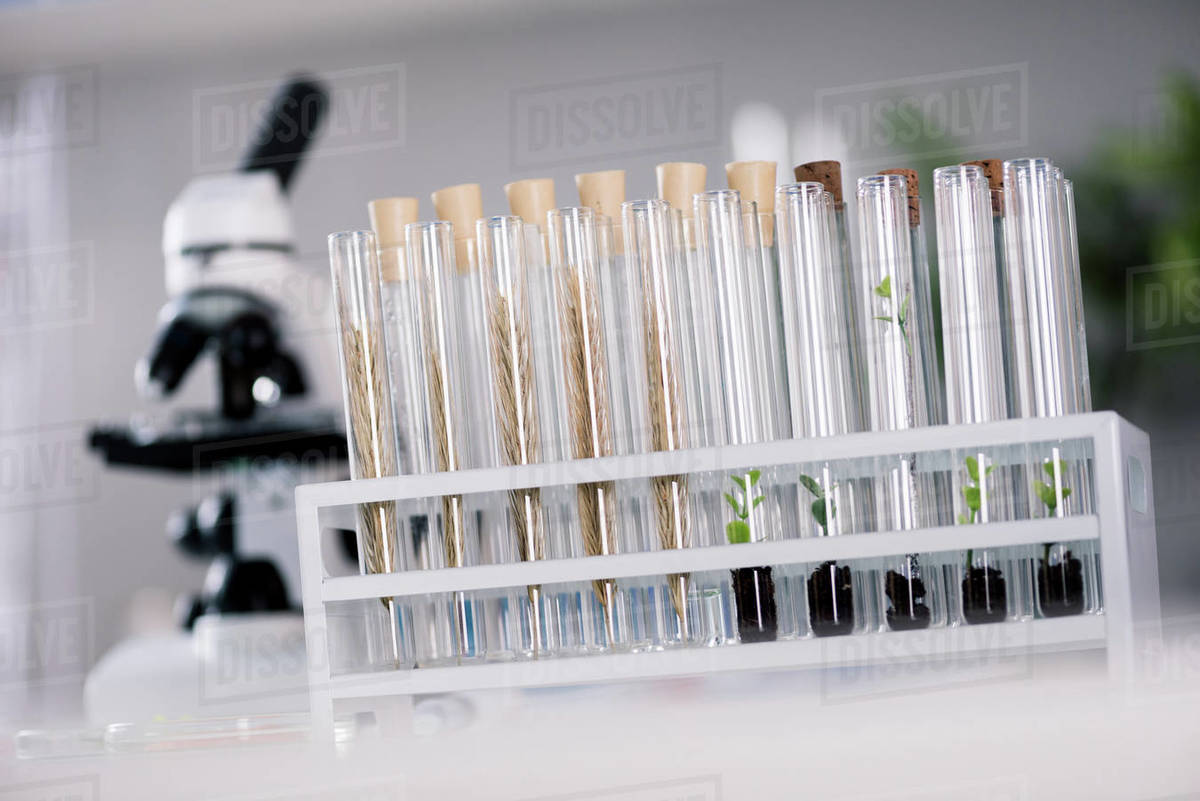 Scientific tools at workplace in modern biological laboratory Stock