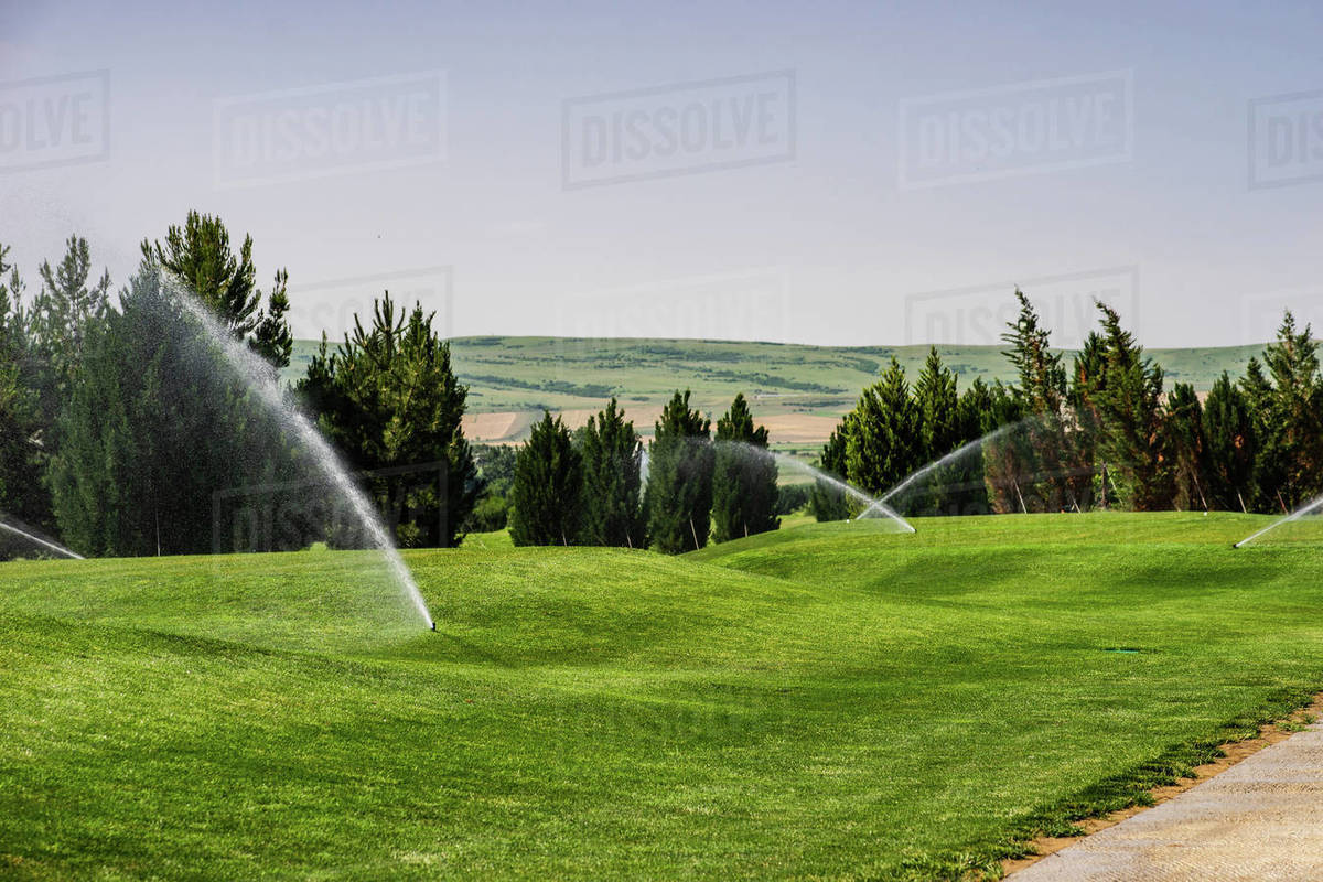 Water sprinklers watering the grass on a golf course in summer, Kakheti