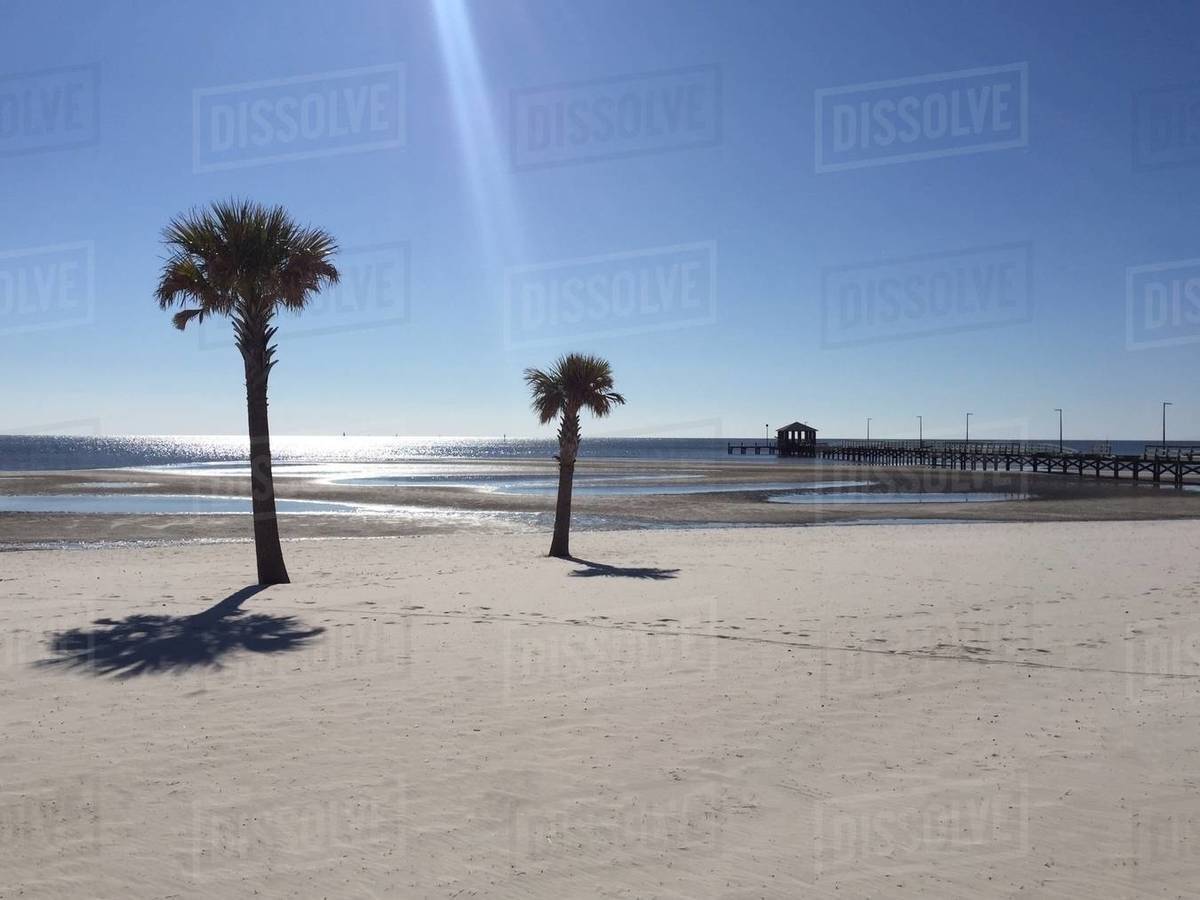 Two palm trees and the pier in the distance, Biloxi, Mississippi, USA Stock Photo Dissolve