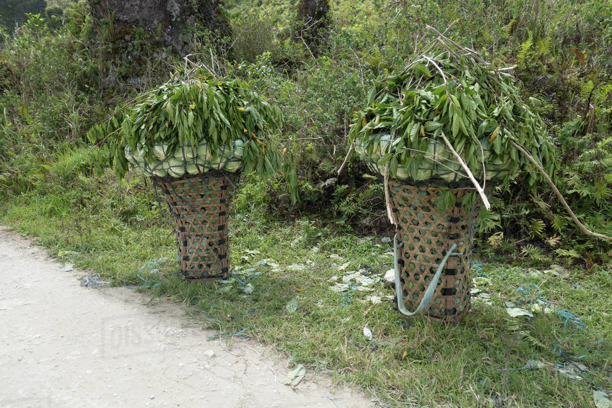 Vegetable baskets, Dalaguete, Cebu, Philippines Stock Photo Dissolve