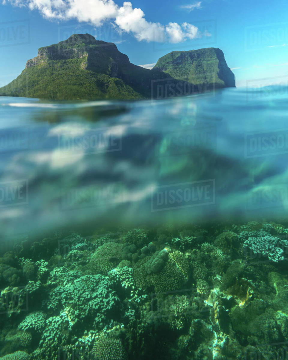 Coral reef and mountains, Lord Howe Island, New South Wales, Australia
