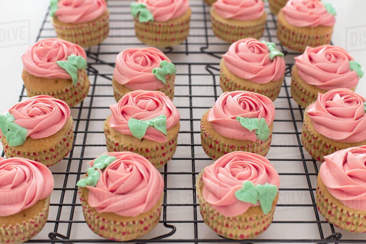Cupcakes with pink buttercream on a cooling rack Stock Photo Dissolve