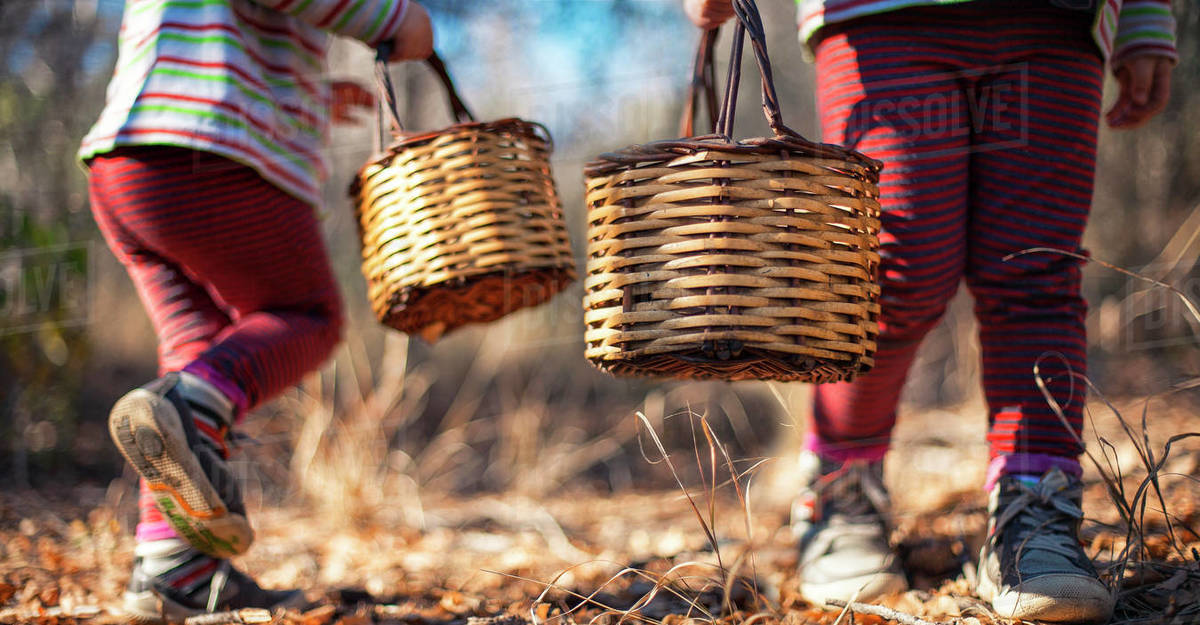 Two girls carrying baskets Stock Photo Dissolve