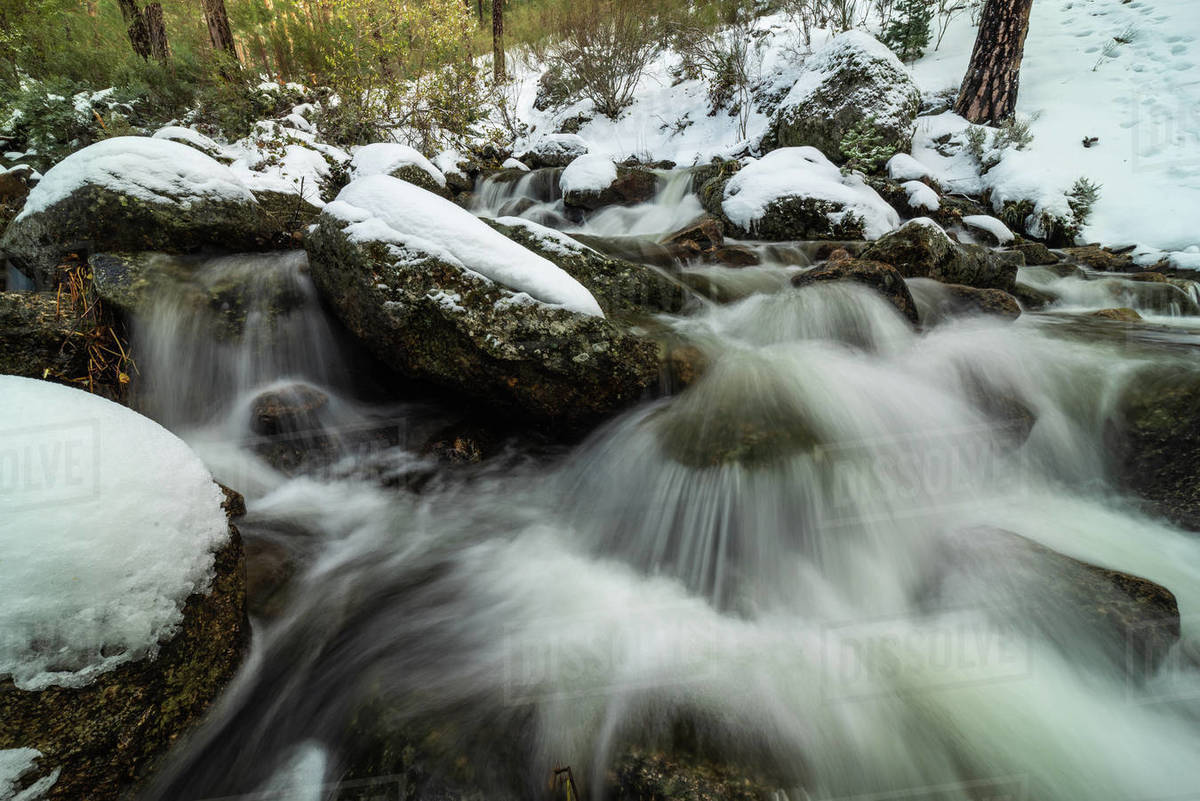 Rapid cascade flow in long exposure passing on uneven mossy mount surface covered with snow and