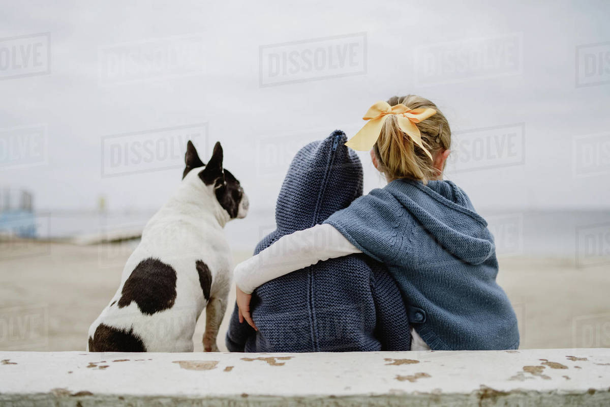 Back view of two children embracing French Bulldog while sitting