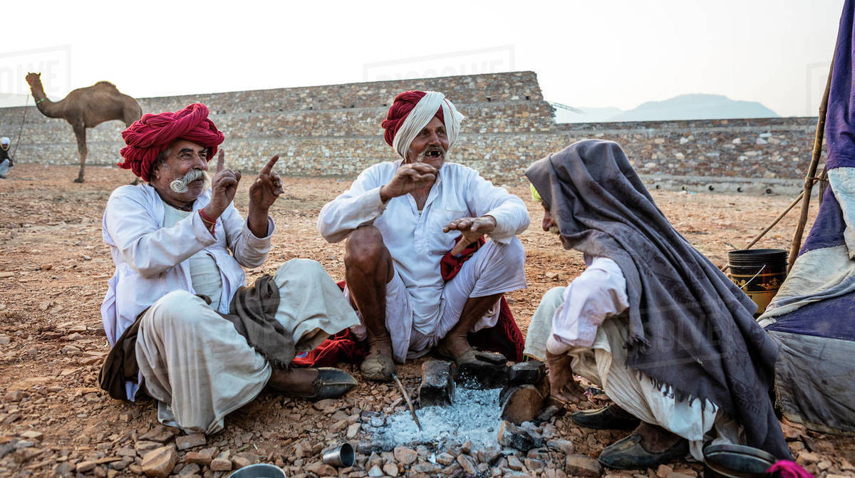 Camel herders early in the morning at the Pushkar Camel Fair, Pushkar, Rajasthan, India, Asia Royalty-free stock photo