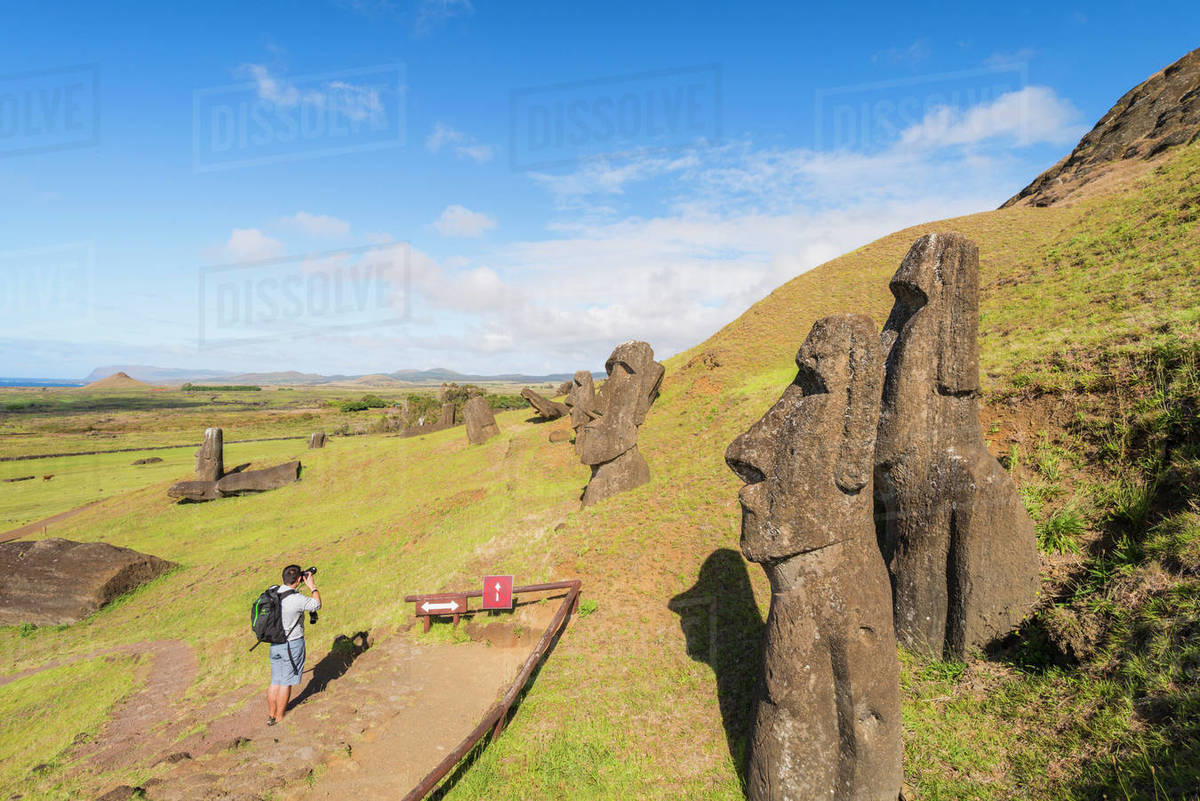 Moai heads of Easter Island, Rapa Nui National Park, UNESCO World Heritage Site, Easter Island, Chile, Polynesia, South America Royalty-free stock photo