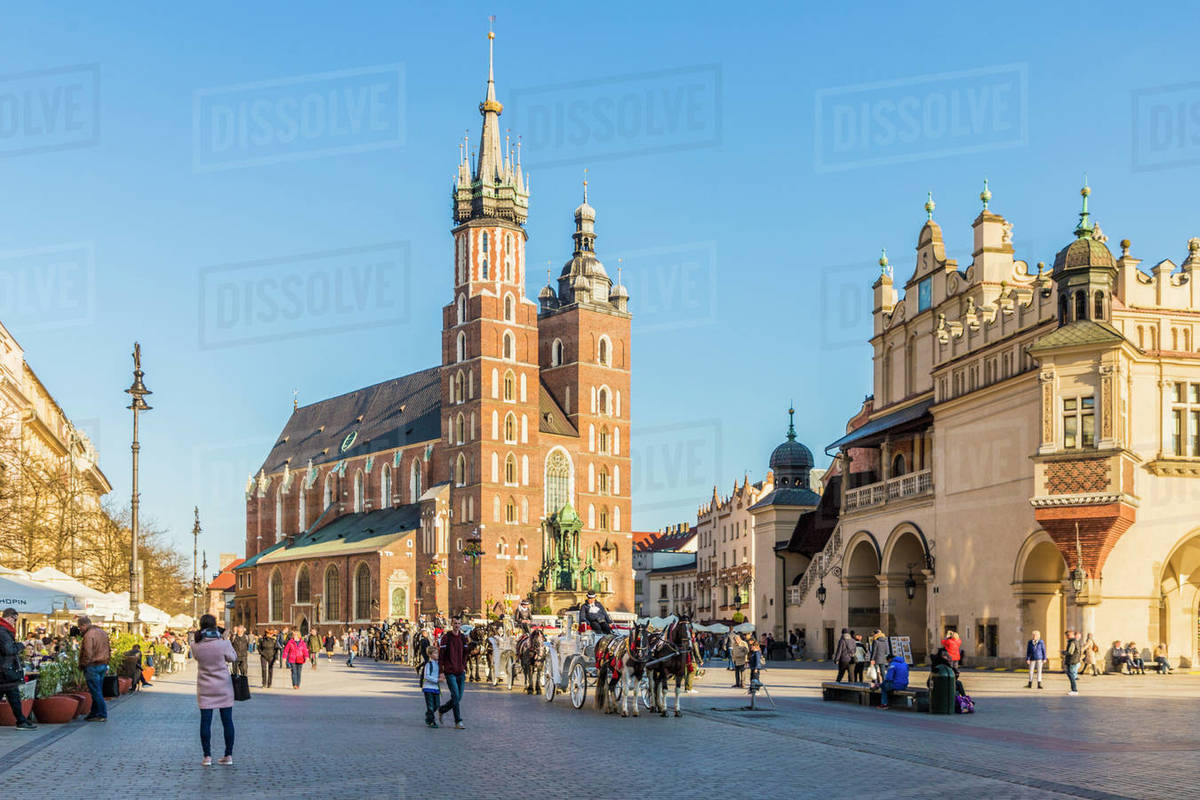 St. Mary's Basilica in the medieval old town, UNESCO World Heritage Site, Krakow, Poland, Europe Rights-managed stock photo