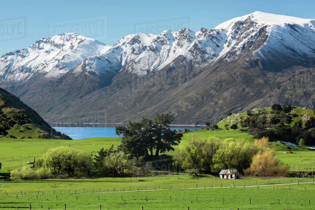 Rural scene of Lake Wanaka backed by snow capped mountains, Wanaka