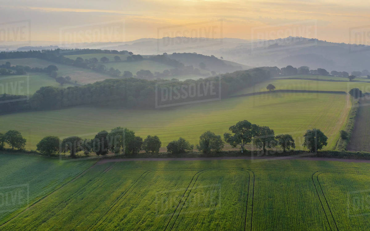Aerial vista of rolling farmland in summer time, Devon, England, United