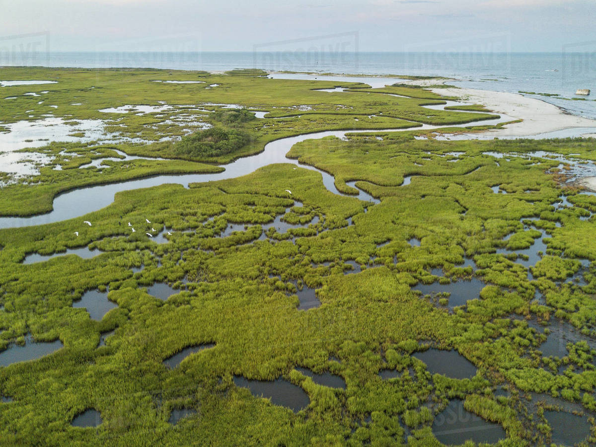 Chesapeake Bay saltmarsh and winding creeks of the Plumtree National