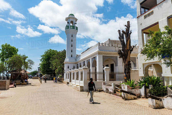 Lamu Town Unesco World Heritage Site Island Of Lamu Kenya East