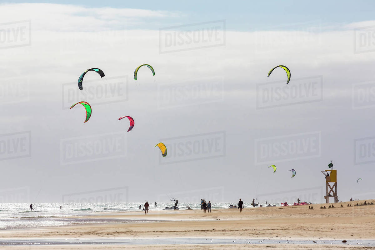 Many people kiteboarding off the Playa de La Barca, Costa Calma, on the volcanic island of Fuerteventura, Canary Islands, Spain, Atlantic, Europe Royalty-free stock photo