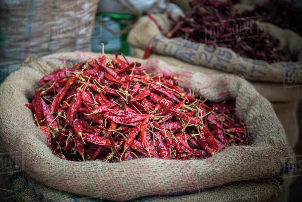 Chillies for sale at a spice market in Fort Kochi (Cochin), Kerala