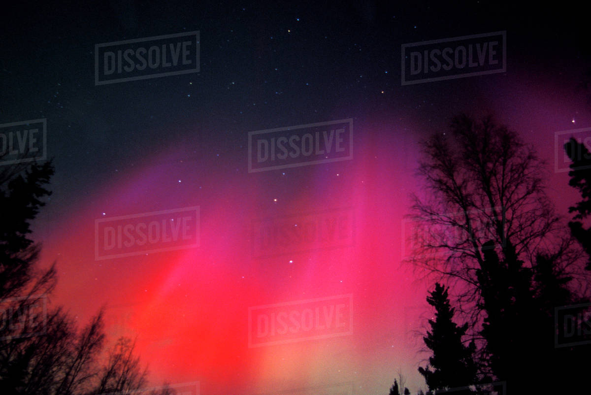 Na Usa Alaska Fairbanks Curtains Of Pink And Red Northern