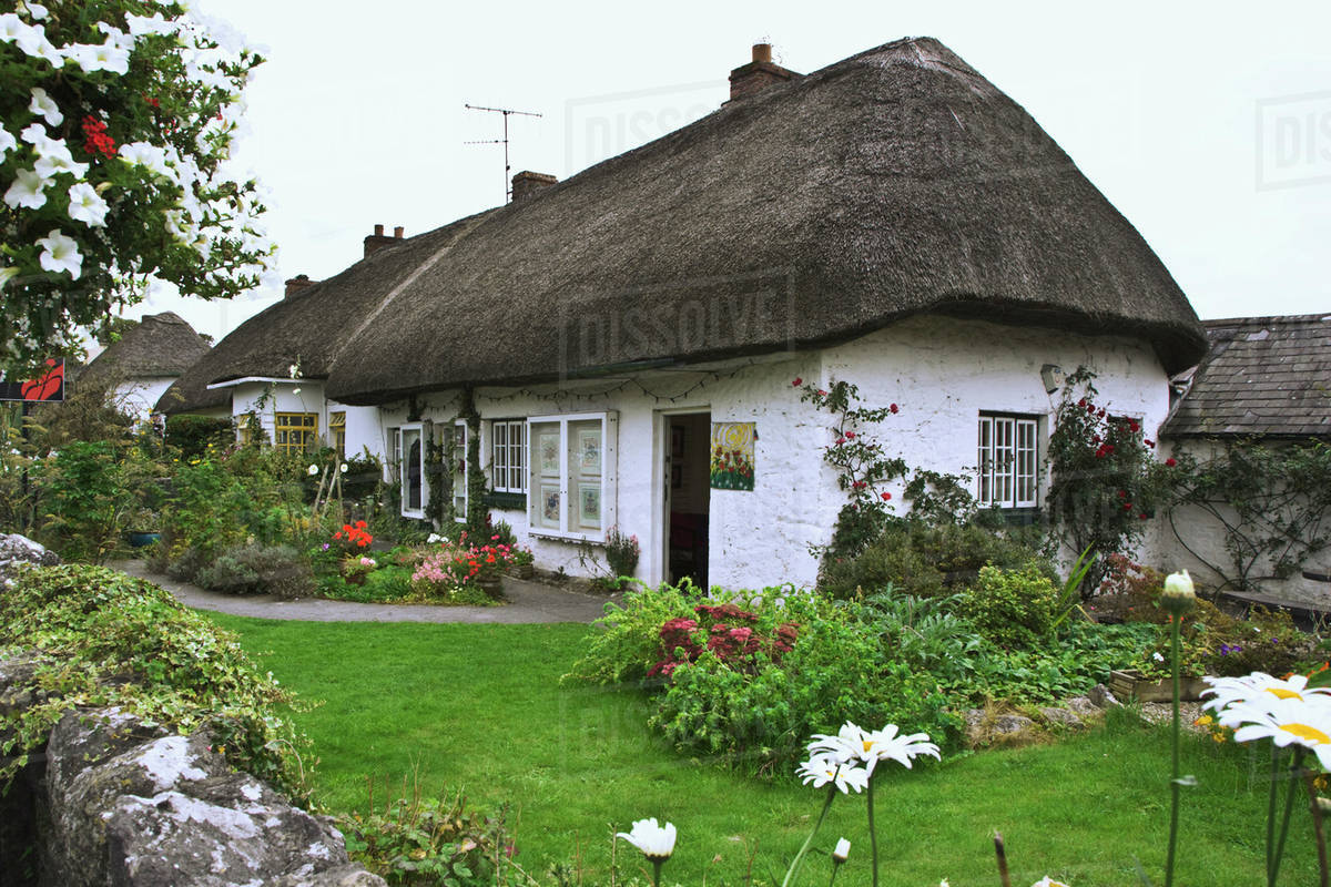 Ireland Adare Thatched Roof Cottage Surrounded By Garden