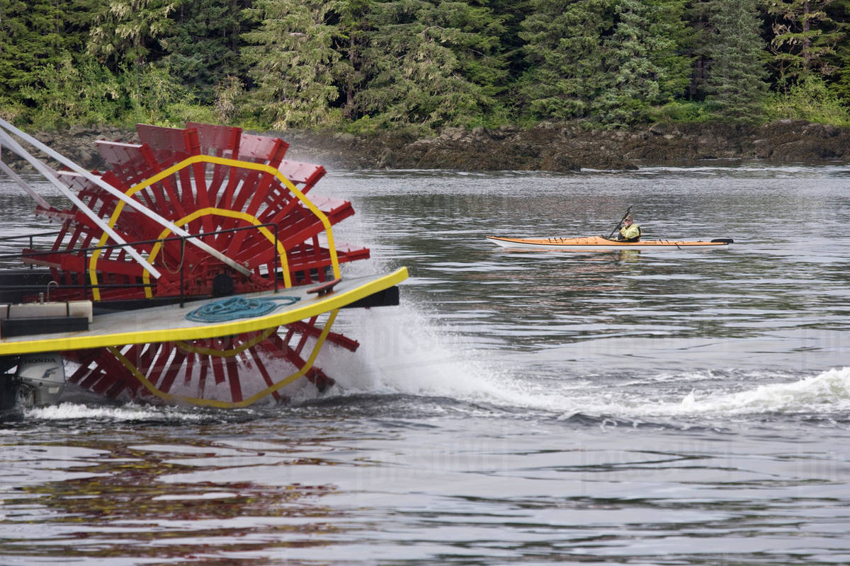 Usa Alaska Queen Paddle Wheeler Moving Next To Man In Kayak Usa Alaska Queen Paddle Wheeler Moving Next To Man In Kayak