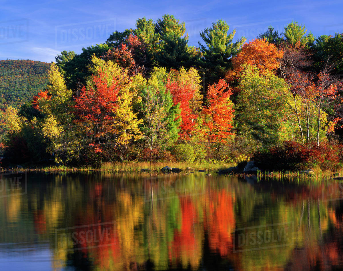 USA, New Hampshire, Moultonborough. Trees in autumn color reflecting in