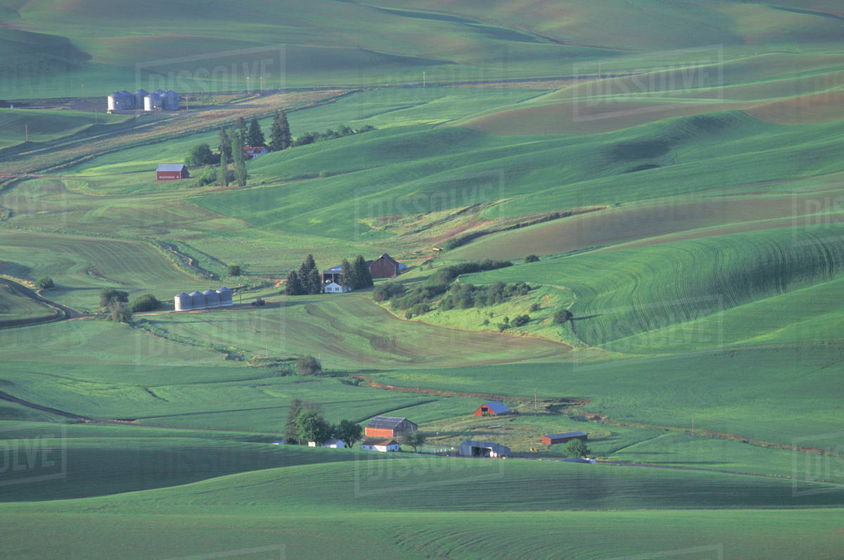 USA, Washington, Palouse farming region, near Colfax, Contour farming ...