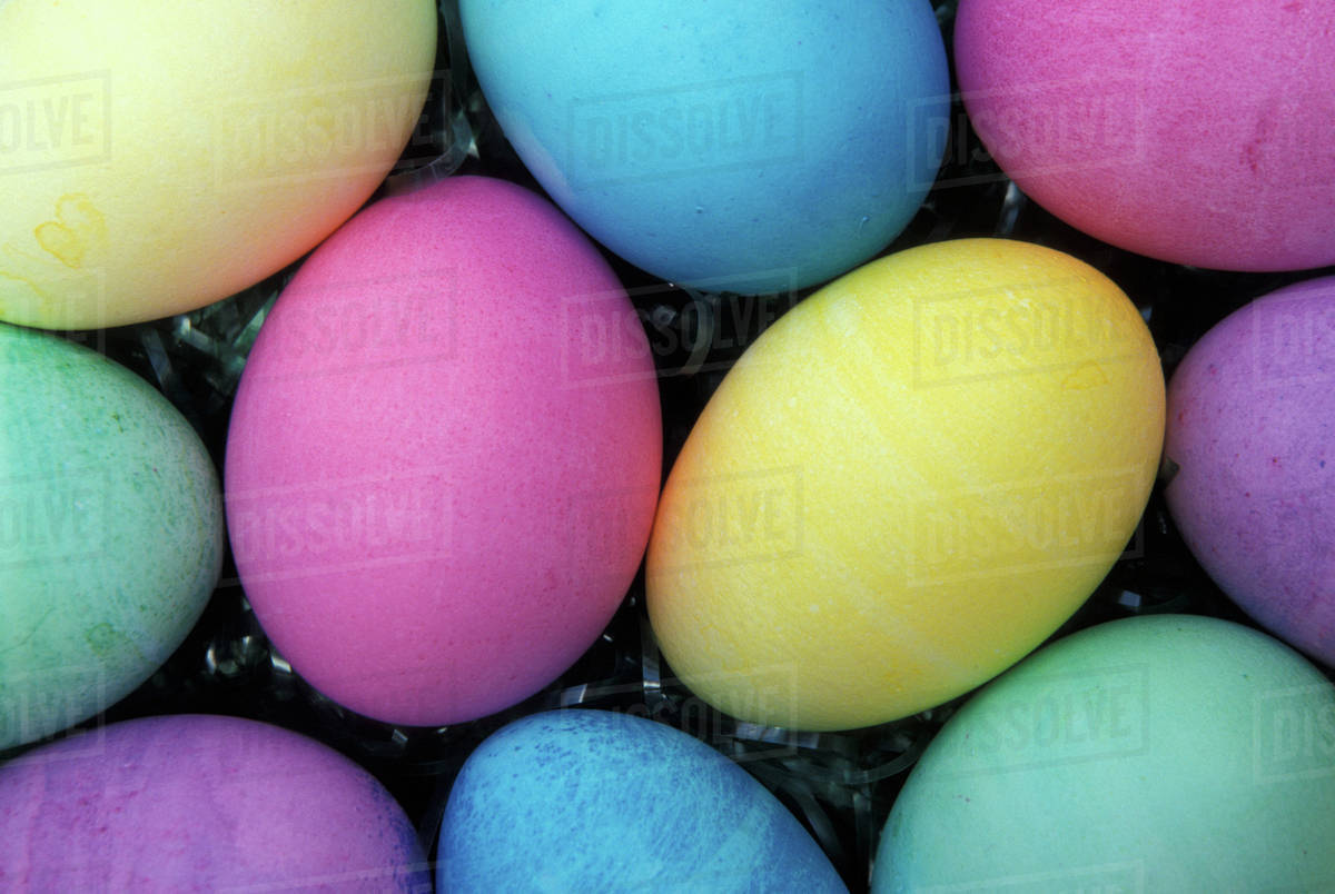 North America, USA, WA, Redmond, Easter Eggs pattern D9_9_95 North America, USA, WA, Redmond, Easter Eggs pattern D9_9_95