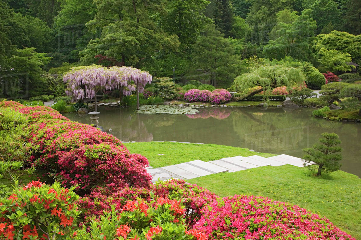 WA, Seattle, Washington Park Arboretum, flowers in bloom at the