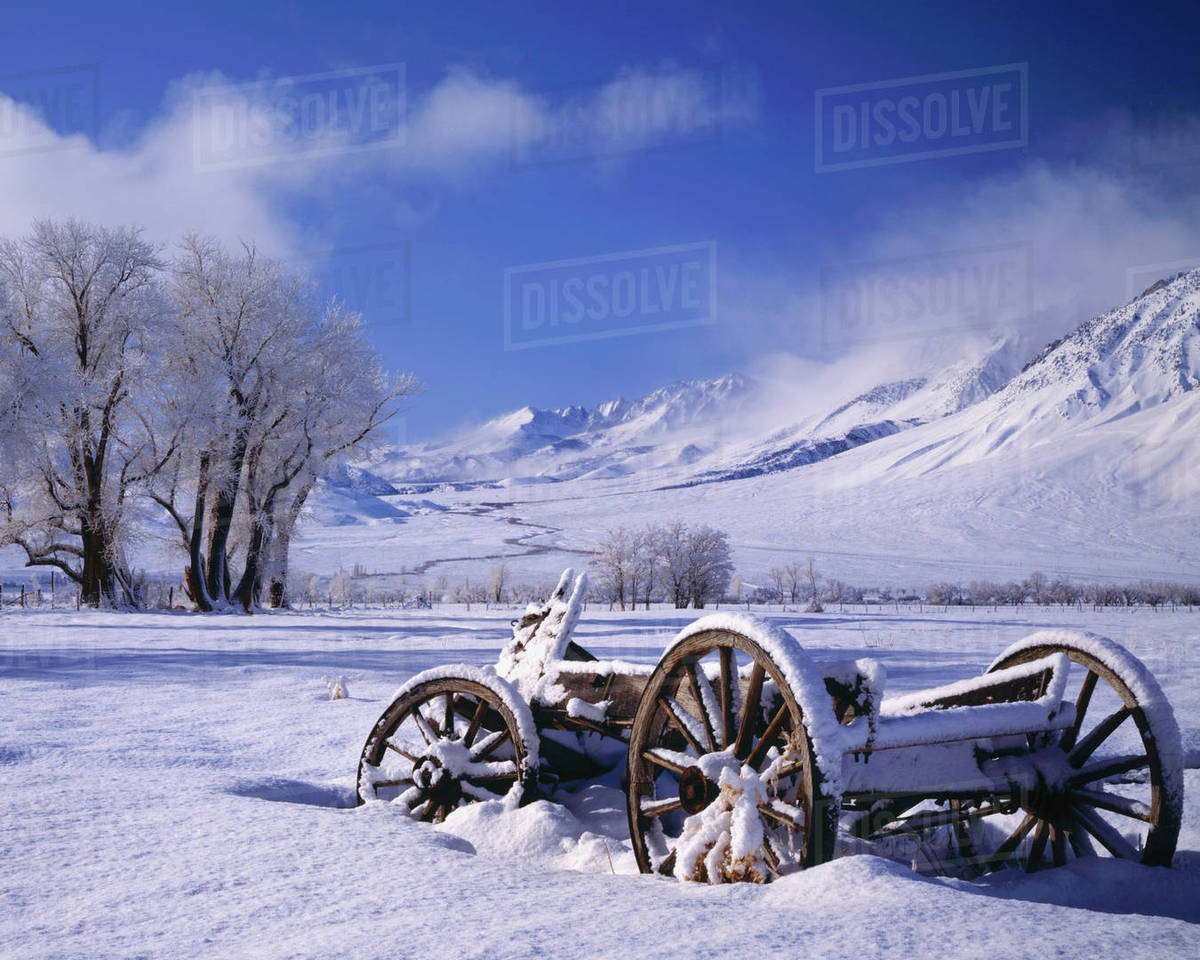 USA, California, Old snowcovered wagon in the Owens Valley