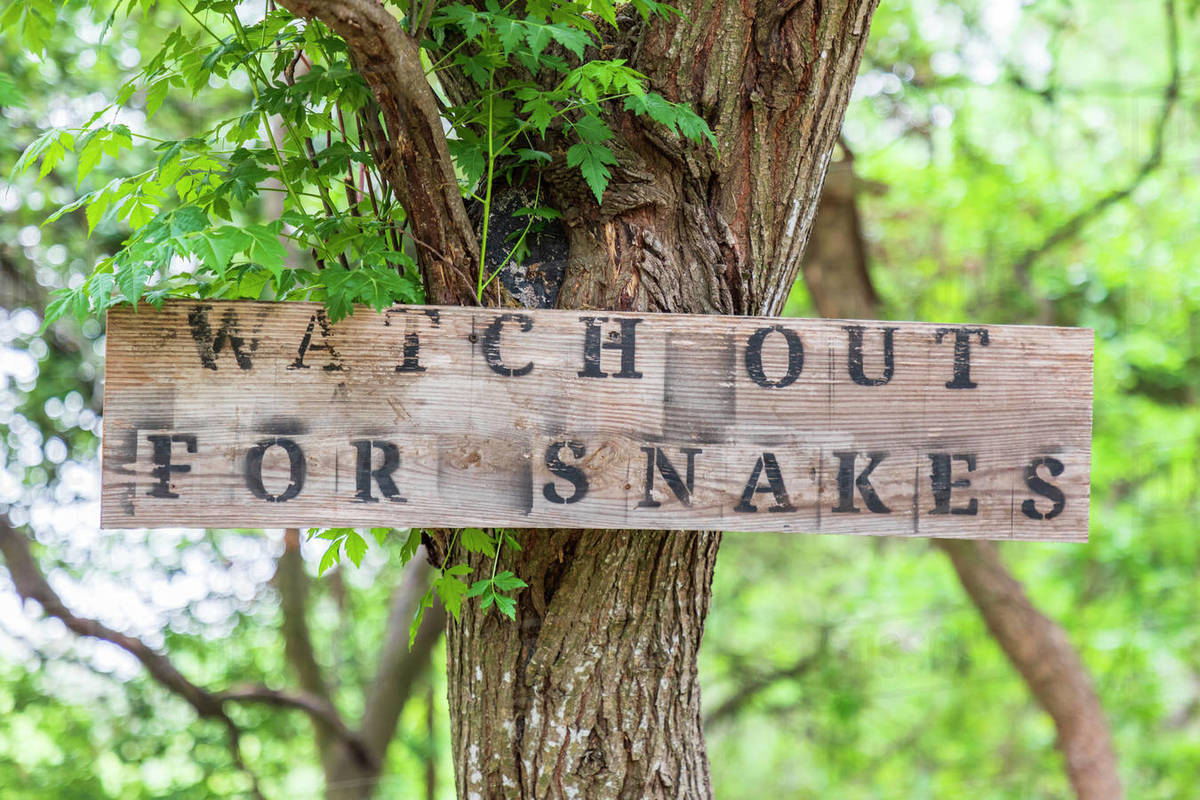 Castroville, Texas, USA. Sign warning snakes in the Texas Hill Country