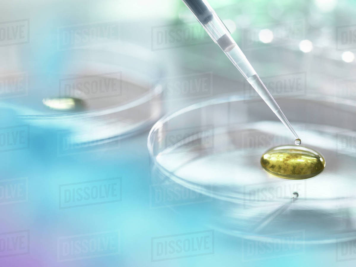 Scientist pipetting a specimen into medium containing bacteria for