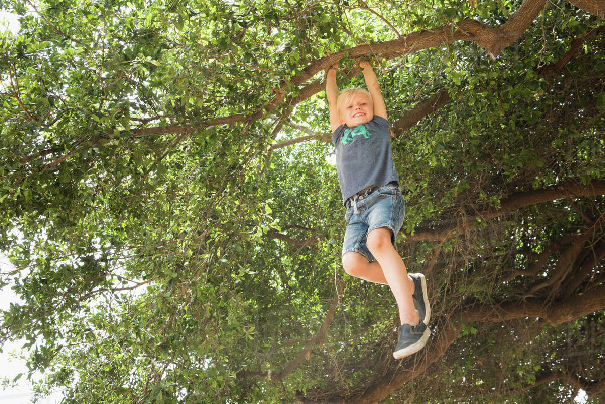 Boy hanging from tree branch looking at camera smiling Stock Photo