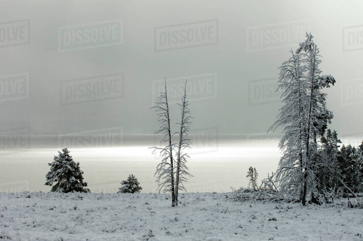 Yellowstone Lake after snowfall, Yellowstone National Park, Wyoming