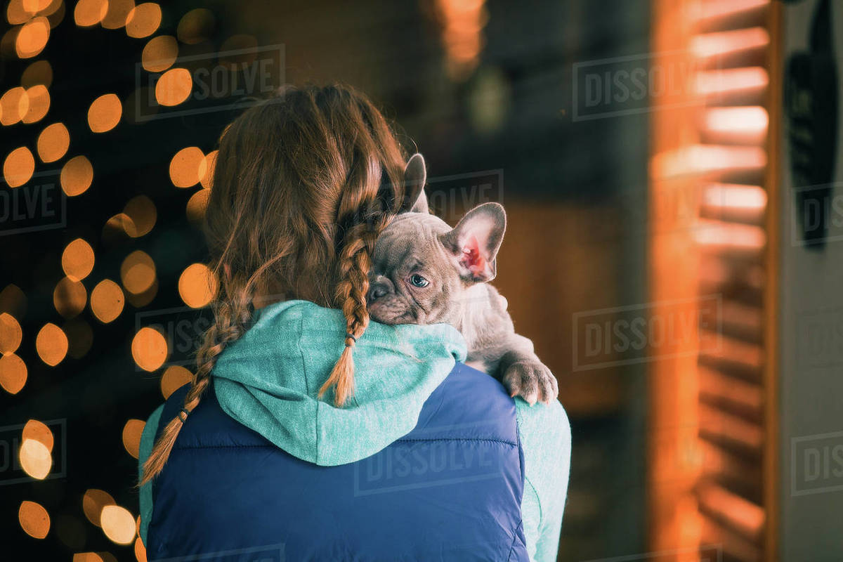 Girl carrying puppy indoors Stock Photo Dissolve