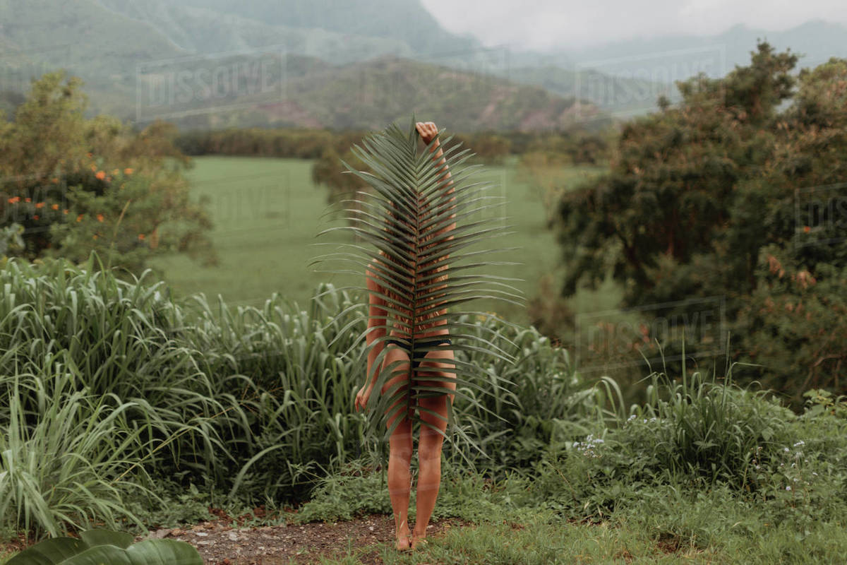 Woman in bikini holding large leaf, Princeville, Hawaii, US Stock
